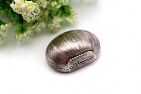 Caixa de comprimidos em forma de castanha com relevos